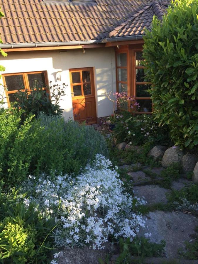 Ferienwohnung Stockrose Middelhagen Kültér fotó